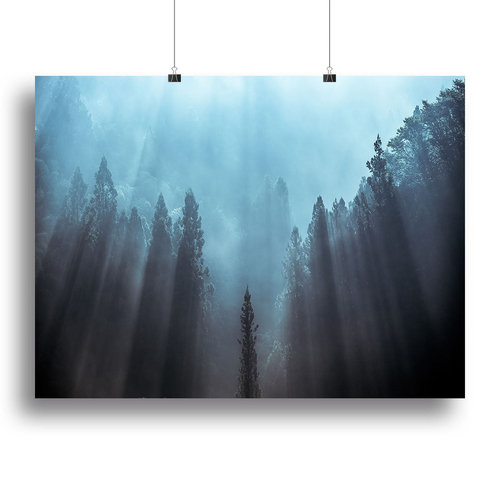 Light To Be Believed Likely Canvas Print or Poster