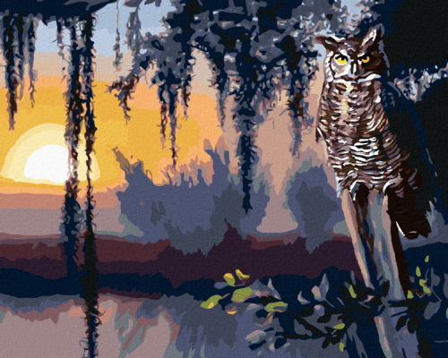 Zuty - Paint by Numbers - OWL AND SUNSET (D. RUSTY RUST), 40x50 cm