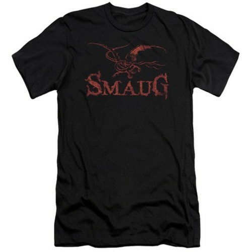 Trevco Hobbit-Dragon Short Sleeve Adult 30-1 Tee- Black - Small