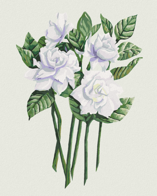 Paint by Numbers - WHITE GARDENIA FLOWERS (ALEXANDRIA GILBERT)