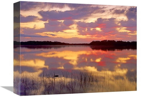 Global Gallery GCS-397113-1216-142 12 x 16 in. American Alligator Surf