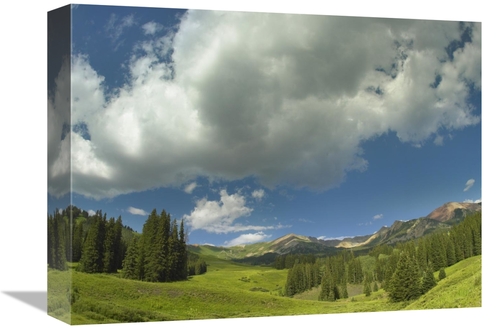 Global Gallery GCS-396726-1216-142 12 x 16 in. Stand of Conifers in th