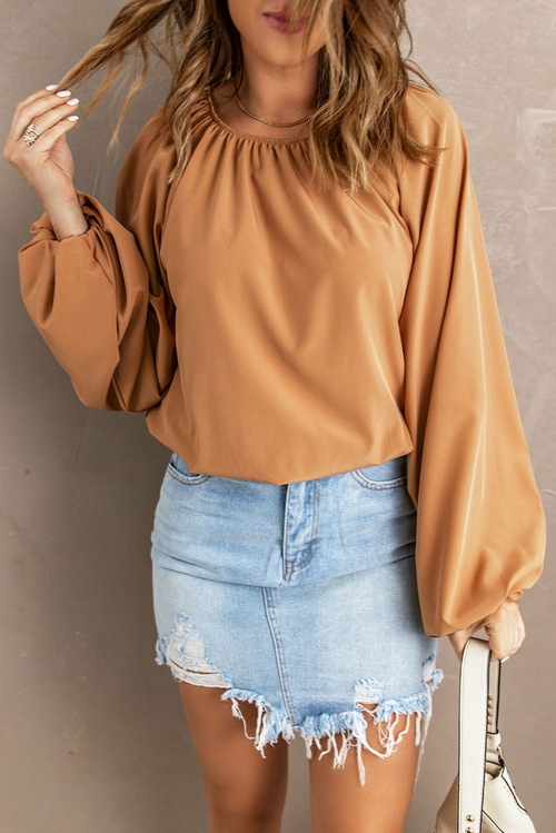 Lantern Sleeve Loose Blouse