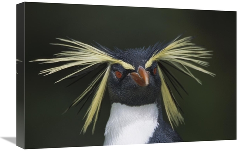 Global Gallery GCS-395617-1624-142 16 x 24 in. Rockhopper Penguin Port