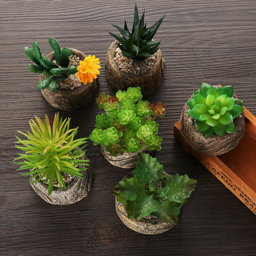 New Succulent plant mini simulation plant potted