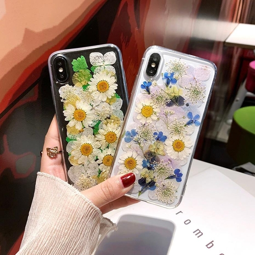  Dried Daisy Flowers iPhone Case