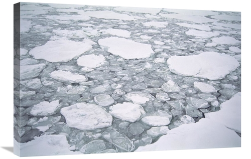 Global Gallery GCS-451549-2030-142 20 x 30 in. Sea Ice, Pancake Ic
