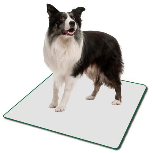 Large Indoor Turf Dog Potty Replacement Pad