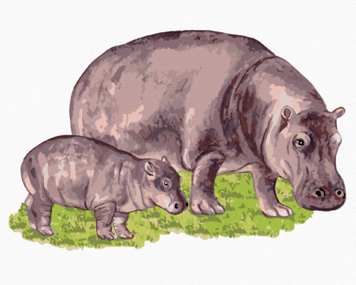 Paint by Numbers - HIPPO AND HIS CUB