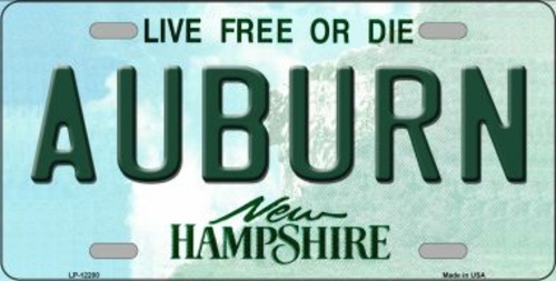 Smart Blonde LP-12200 Auburn New Hampshire Novelty Metal License Plate