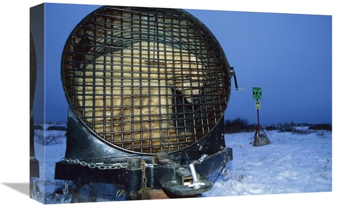 Global Gallery GCS-452632-1218-142 12 x 18 in. Polar Bear in Bear Trap