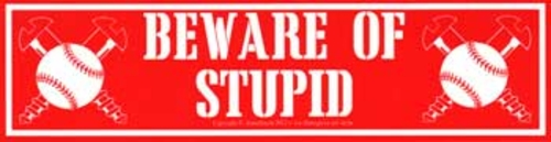 Beware of Stupid  11 1/2" x 3"