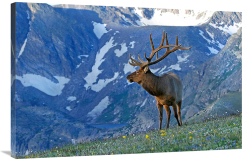 Global Gallery GCS-486635-40-142 40 in. Top of the World Art Print - V