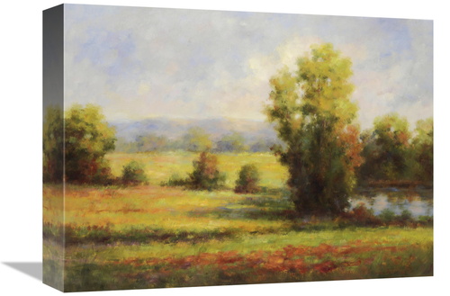 Global Gallery GCS-130630-1216-142 12 x 16 in. Red Meadow I Art Print 