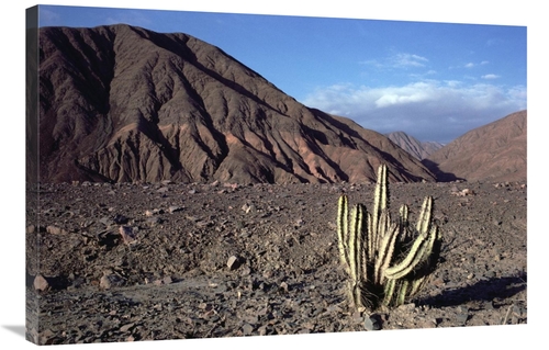 Global Gallery GCS-451083-2436-142 24 x 36 in. Atacama Desert Located 