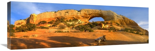 Global Gallery GCS-397186-1236-142 12 x 36 in. Wilson Arch with A Span