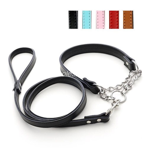 Leather Dog Walking Leash & Half Chain Choke Pet