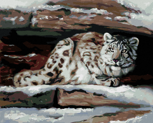 Zuty - Paint by Numbers - SNOW LEOPARD IN A SHELTER (D. RUSTY RUST),