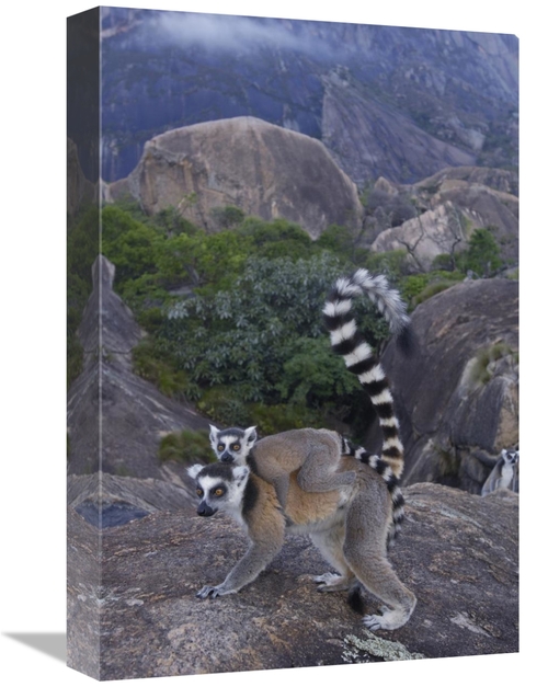 Global Gallery GCS-453243-1218-142 12 x 18 in. Ring-Tailed Lemur & You