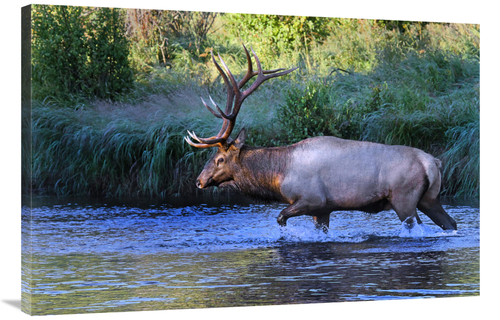 Global Gallery GCS-486460-40-142 40 in. Crossing the River Art Print -