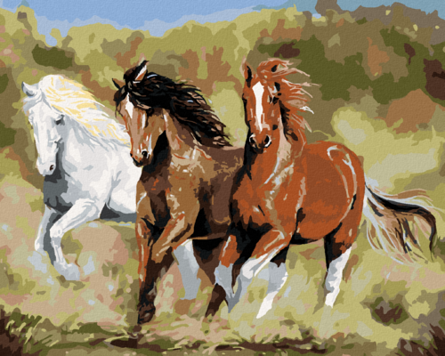 Zuty - Paint by Numbers â€“ HORSES RUNNING (VICTORIA SCHULTZ), 40x50