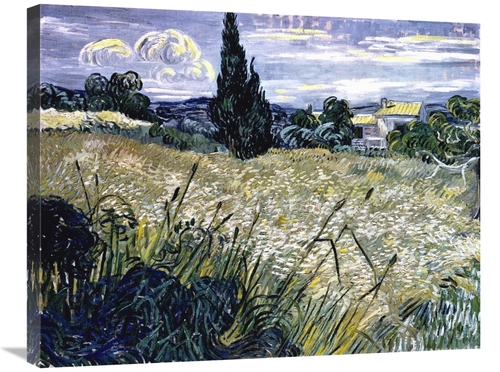 Global Gallery GCS-281278-30-142 30 in. Landscape with Green Corn Art 