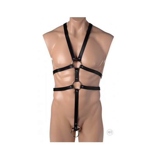 Male Full Body Harness