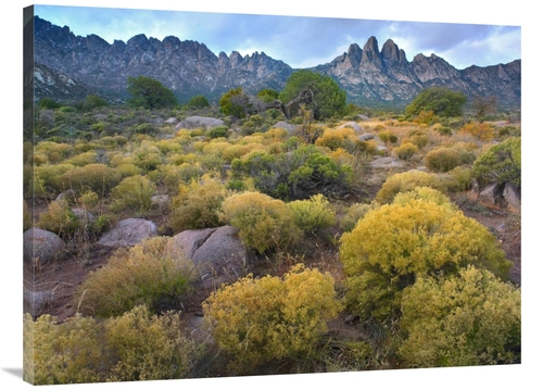 Global Gallery GCS-396217-3040-142 30 x 40 in. Organ Mountains, Ch