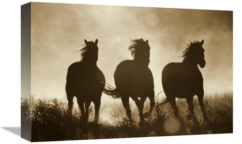 Global Gallery GCS-398470-1218-142 12 x 18 in. Domestic Horse Trio Run