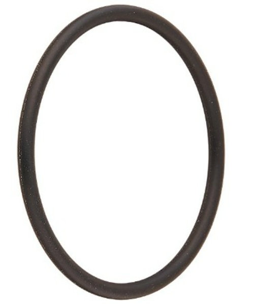 Pentair Water Pool & Spa 273062 2 in. O-Ring for PVC