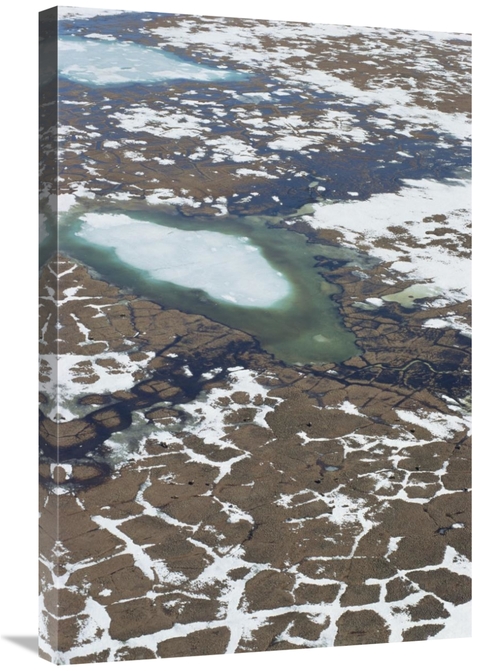 Global Gallery GCS-395503-2030-142 20 x 30 in. Aerial View of Tundra P