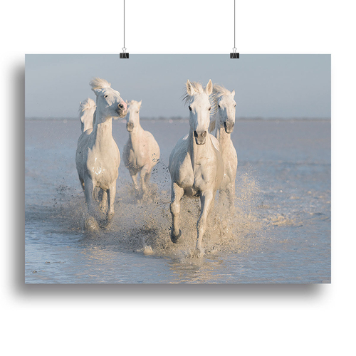 Running White Horses Canvas Print or Poster