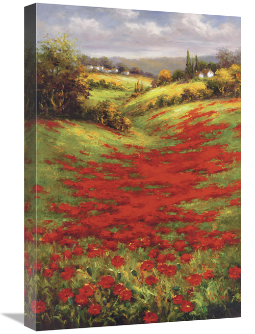 Global Gallery GCS-128428-1624-142 16 x 24 in. Valley VIew II Art Prin