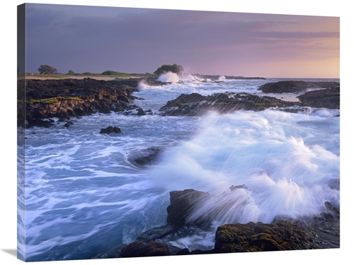 Global Gallery GCS-396678-2835-142 28 x 35 in. Waves Crashing on Rocky
