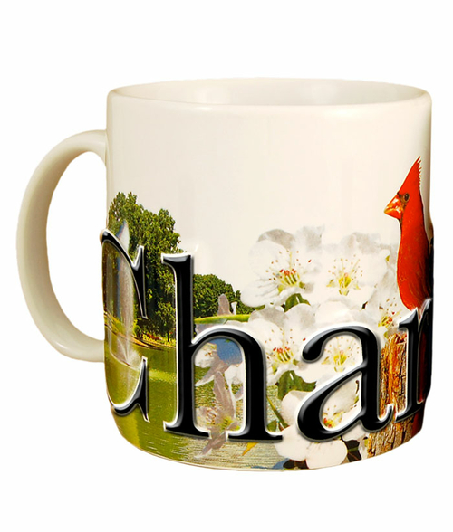 Americaware SMCHR01 Charlotte 18 oz Full Color Relief Mug