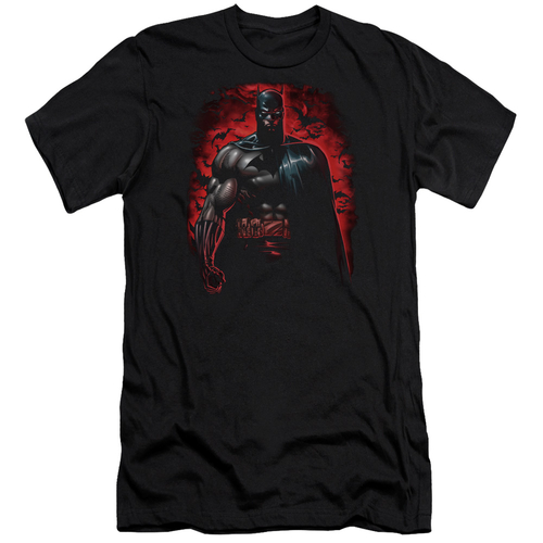Trevco BM1758B-PSF-5 Batman & Red Knight Adult Cotton Premium Canvas B