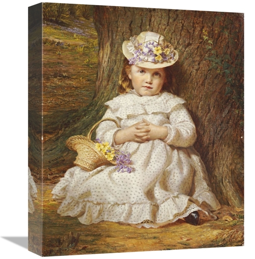 Global Gallery GCS-267291-16-142 16 in. Primroses & Bluebells Art Prin