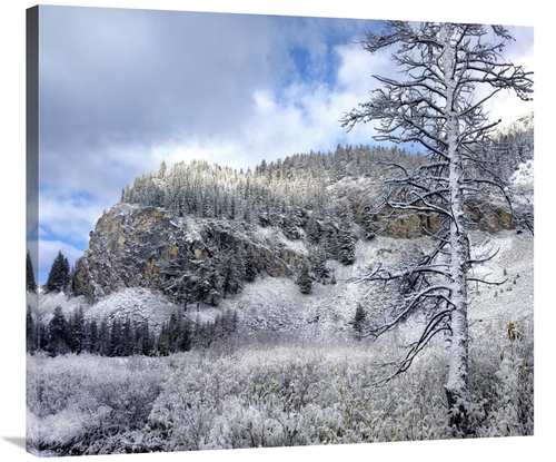 Global Gallery GCS-396196-36-142 36 in. Light Snow Covering Boulder Mo