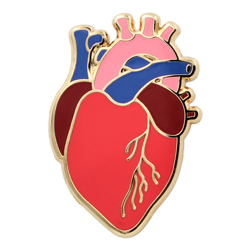 Anatomical Heart Pin - Realistic, Scientific Heart Enamel Pin 
