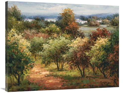 Global Gallery GCS-132573-3040-142 30 x 40 in. Sun Dappled Country Roa