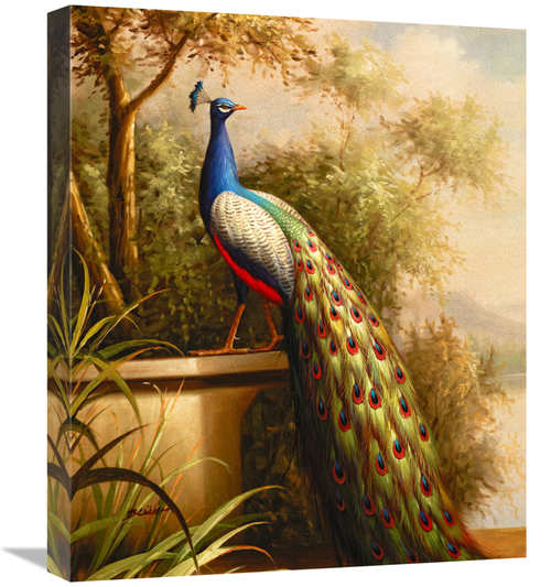 Global Gallery GCS-132589-22-142 22 in. Regal Peacock Art Print - Blum