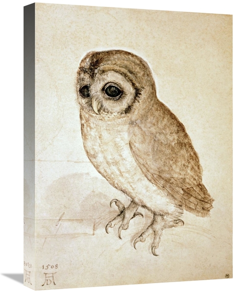 Global Gallery GCS-277447-22-142 22 in. Screech Owl Art Print - Albrec