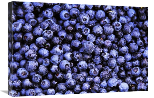 Global Gallery GCS-398278-2030-142 20 x 30 in. Bilberry Close Up of Ha