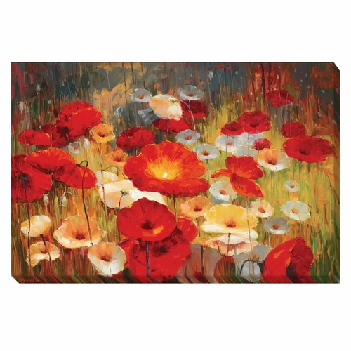 Artistic Home Gallery 1624B772EG Meadow Poppies I by Lucas Santini Pre
