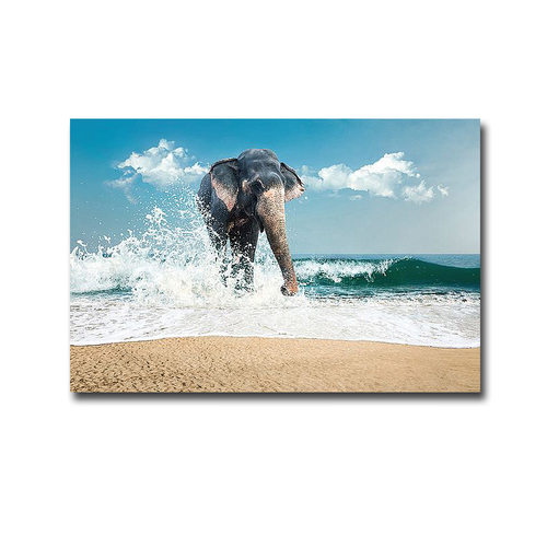 Artistic Home Gallery 1624746IG Elephant by PhotoINC Studio Premium Ga