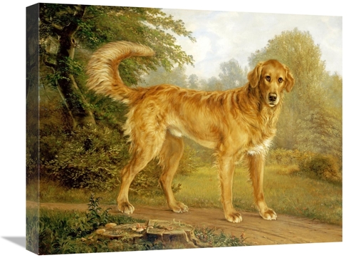 Global Gallery GCS-266794-22-142 22 in. A Golden Retriever on a Path A