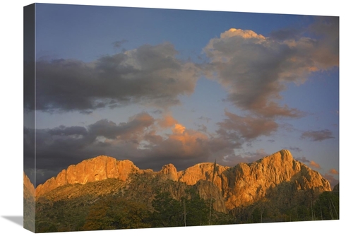 Global Gallery GCS-396652-1824-142 18 x 24 in. Sunlight Illuminating C