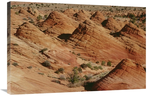 Global Gallery GCS-452903-2436-142 24 x 36 in. Wind Sculpted Colorado 
