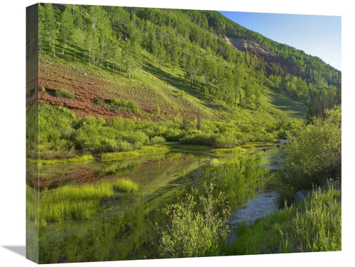 Global Gallery GCS-396398-22-142 22 in. Rico Mountains & Dolores River