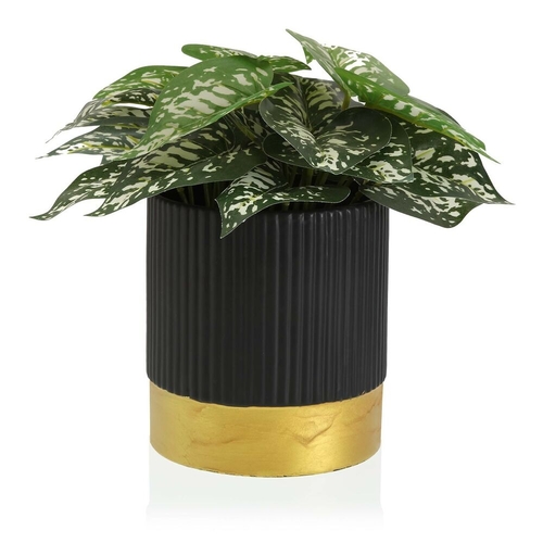 Plant pot Versa Black Ceramic (16 x 17 x 16	 cm)